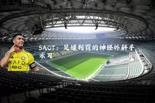 SAOT：足球判罚的神经外科手术刀